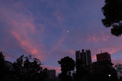 日曜の夕暮れ