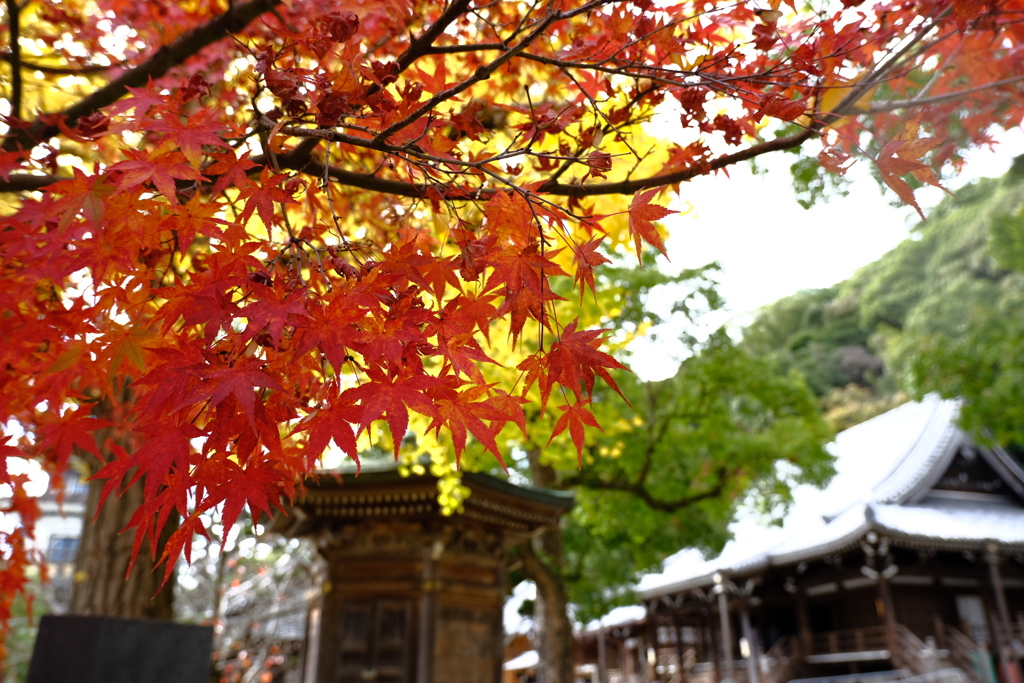 須磨寺