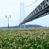 明石海峡大橋
