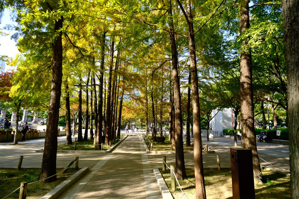 東遊園