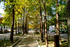 東遊園