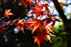 奥須磨公園