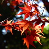 奥須磨公園