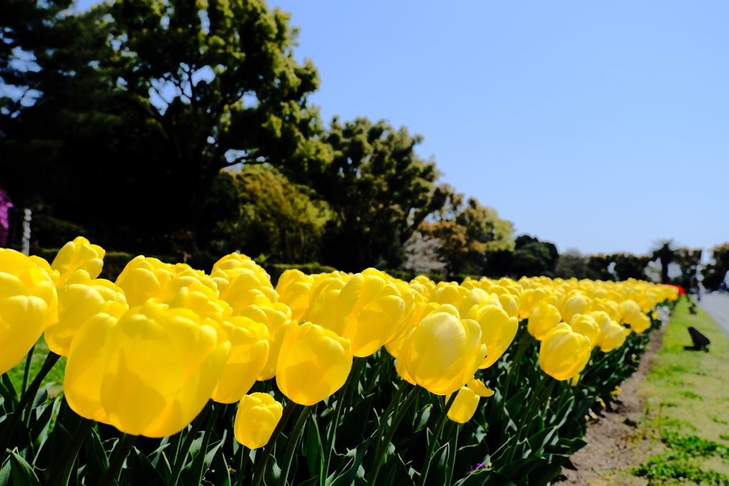 離宮公園