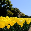 離宮公園