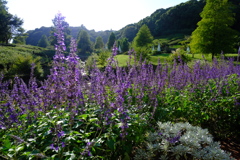 淡路ハイウェイオアシス