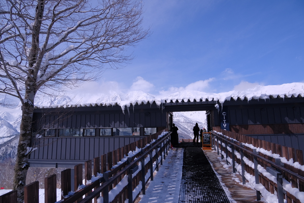 岩岳のシティベーカリー