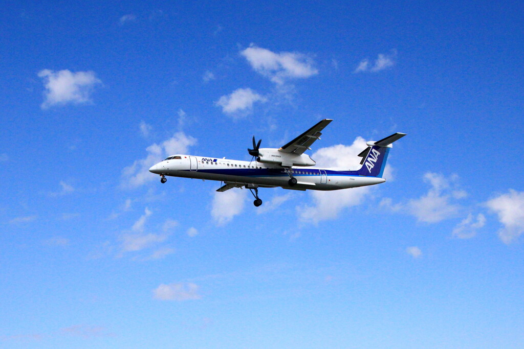レシプロ機ANA landing approach 02