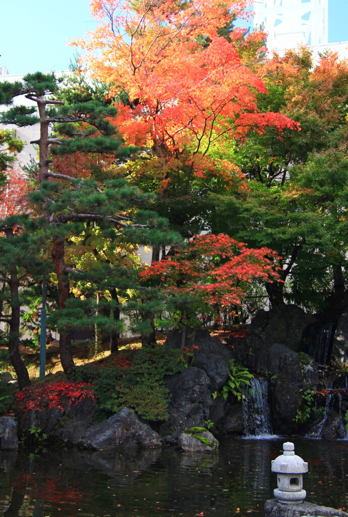 庭園の紅葉01