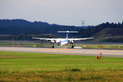 レシプロ機ANA landing 03