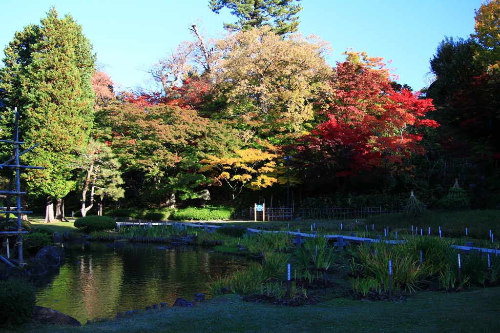 庭園の紅葉03