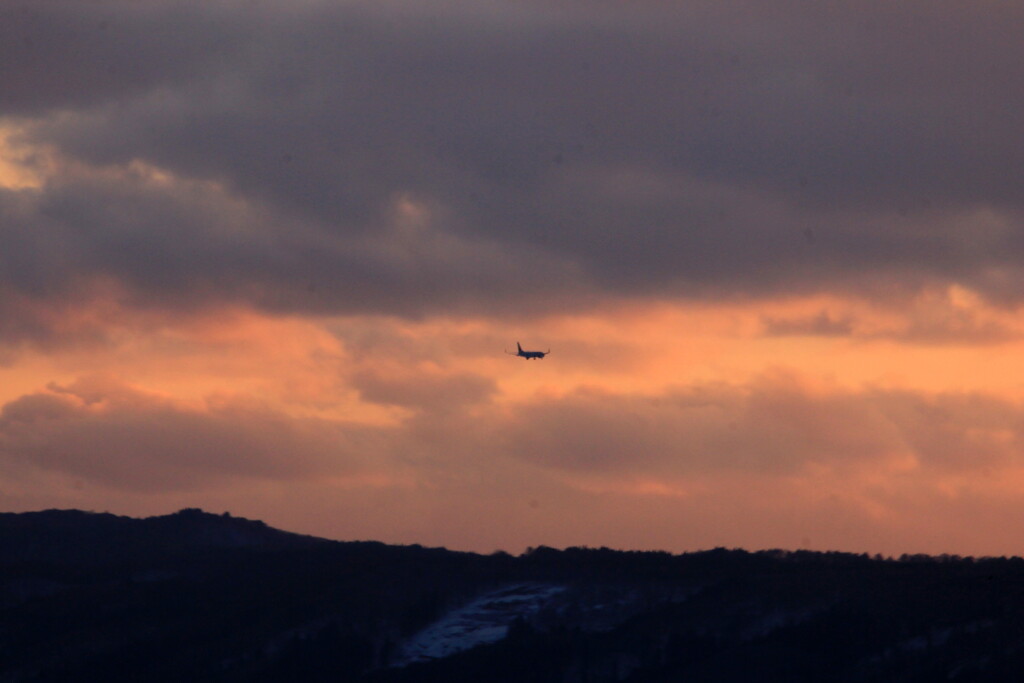 夕暮れに飛ぶ01