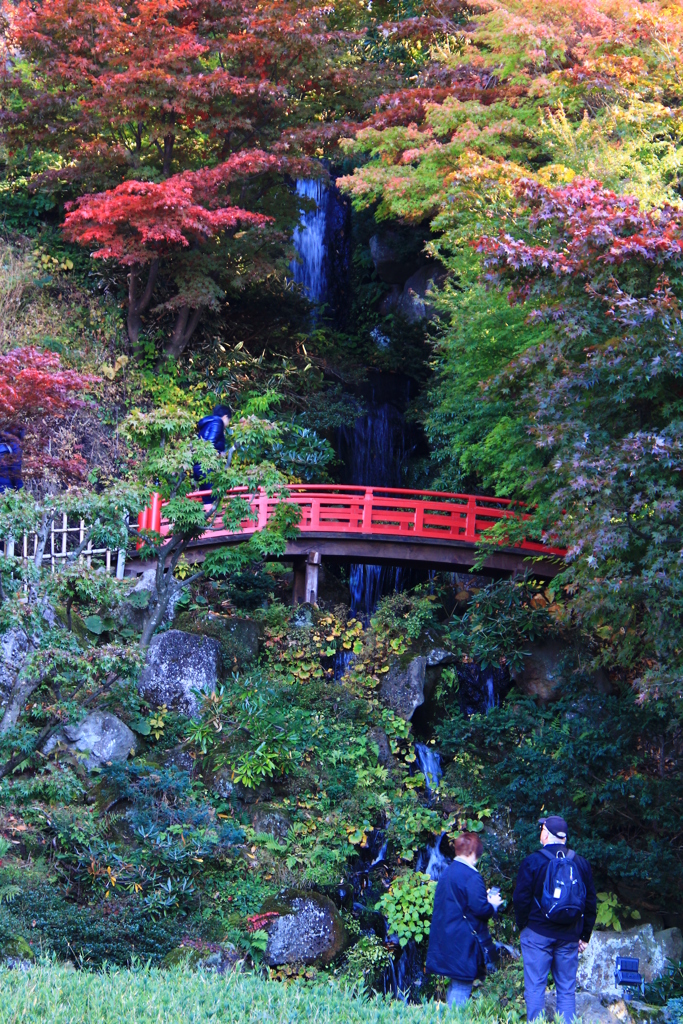 庭園の紅葉05