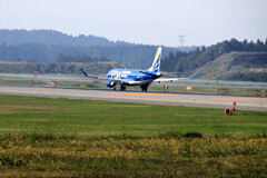 FDA stanby ok 02