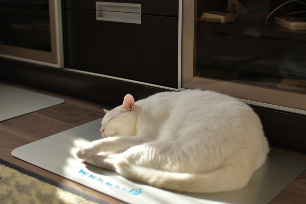 おひるね
