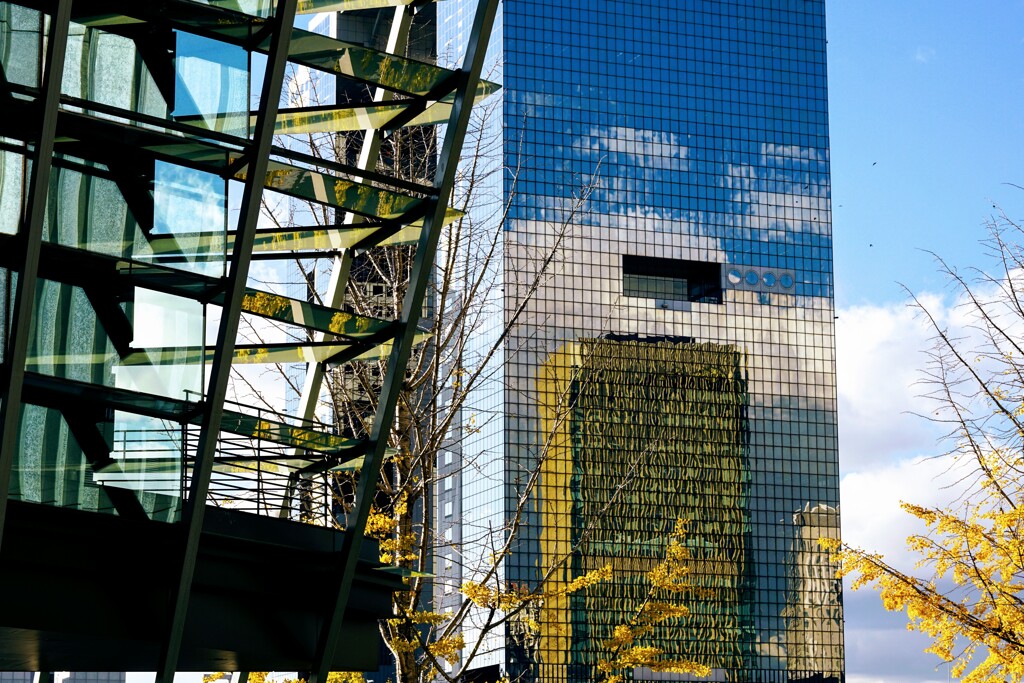 写景