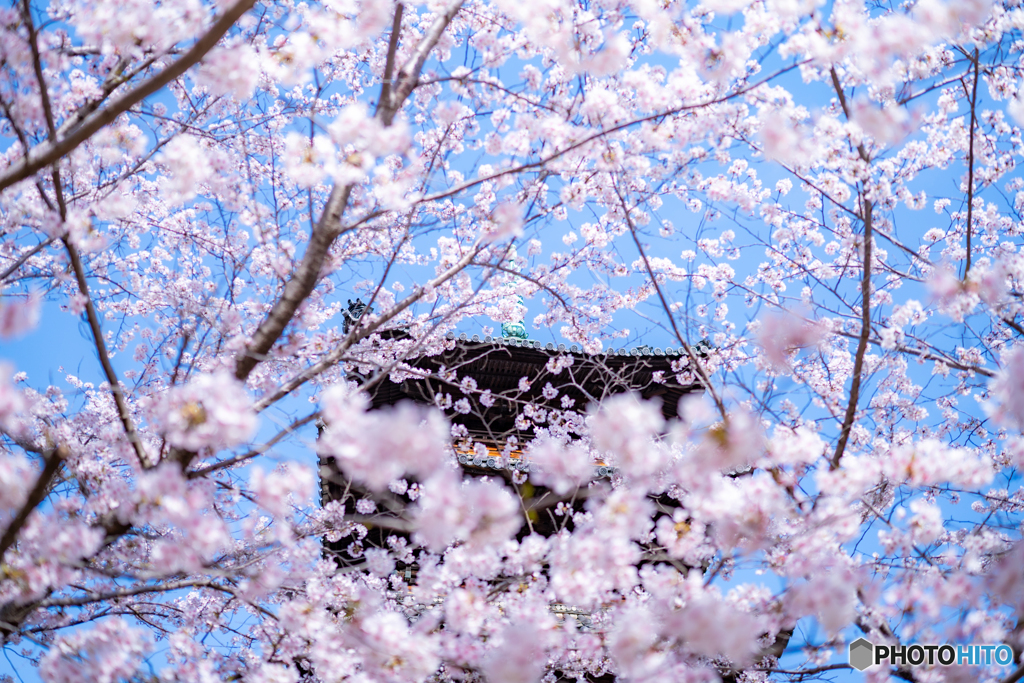 興正寺③