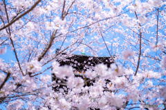 興正寺③