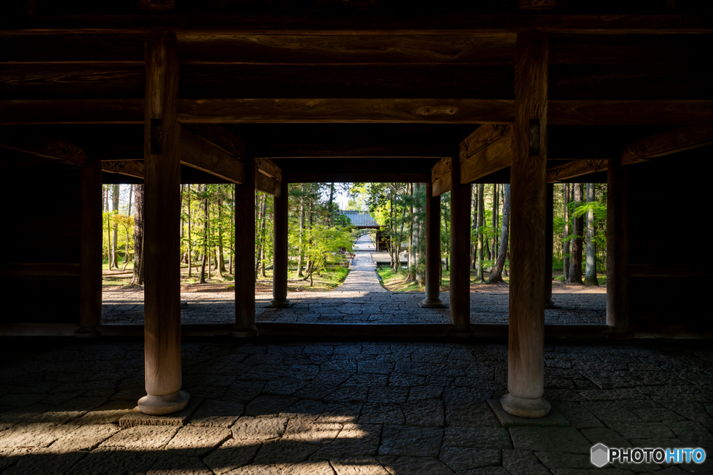 曹源寺②