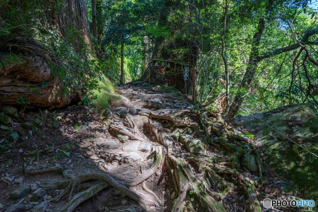 三徳山