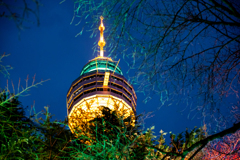 大邱タワー（83タワー）