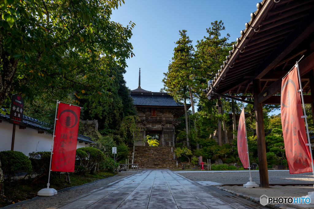 妙成寺①