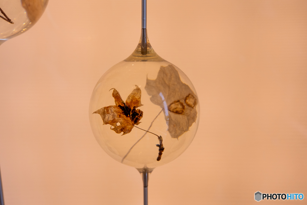 「大阪・関西万博」②