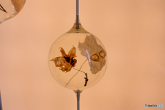 「大阪・関西万博」②