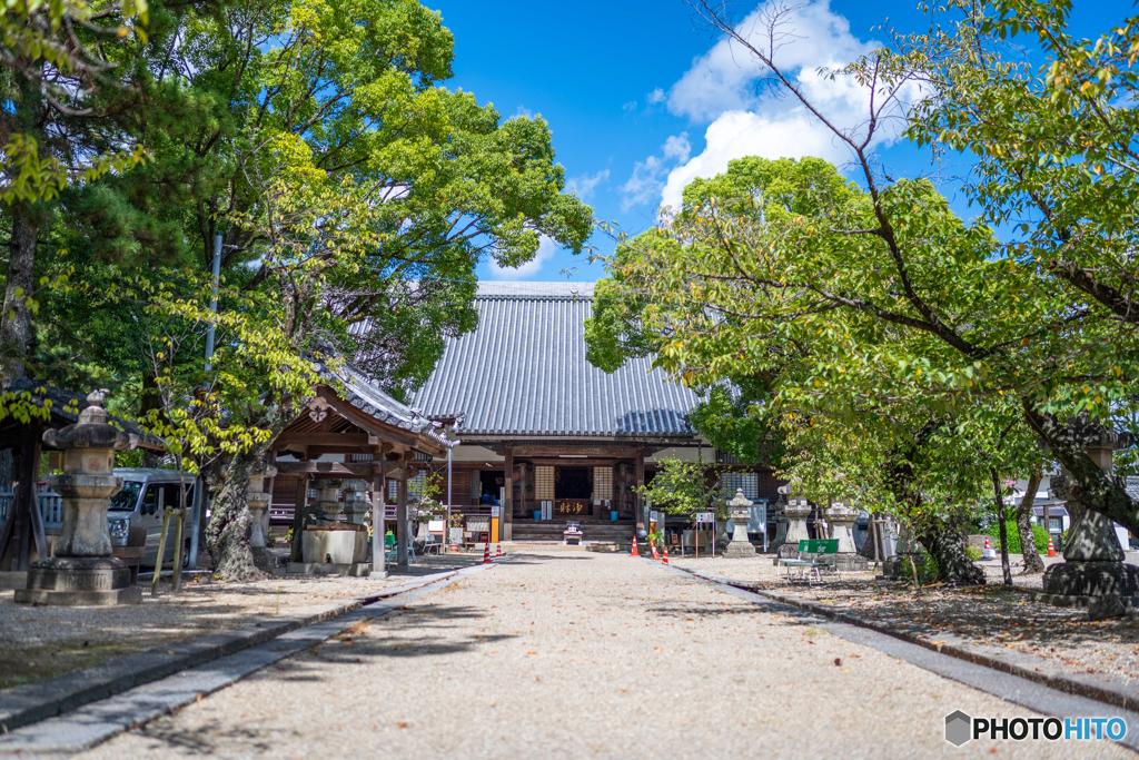 大樹寺・本堂②