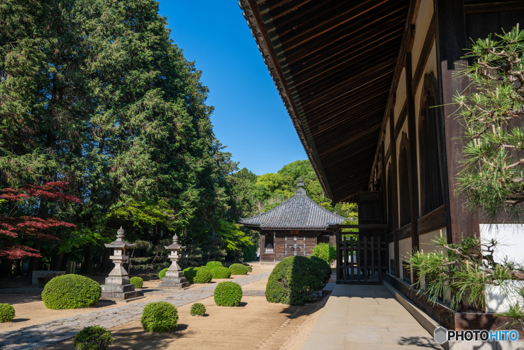 曹源寺③