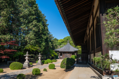 曹源寺③