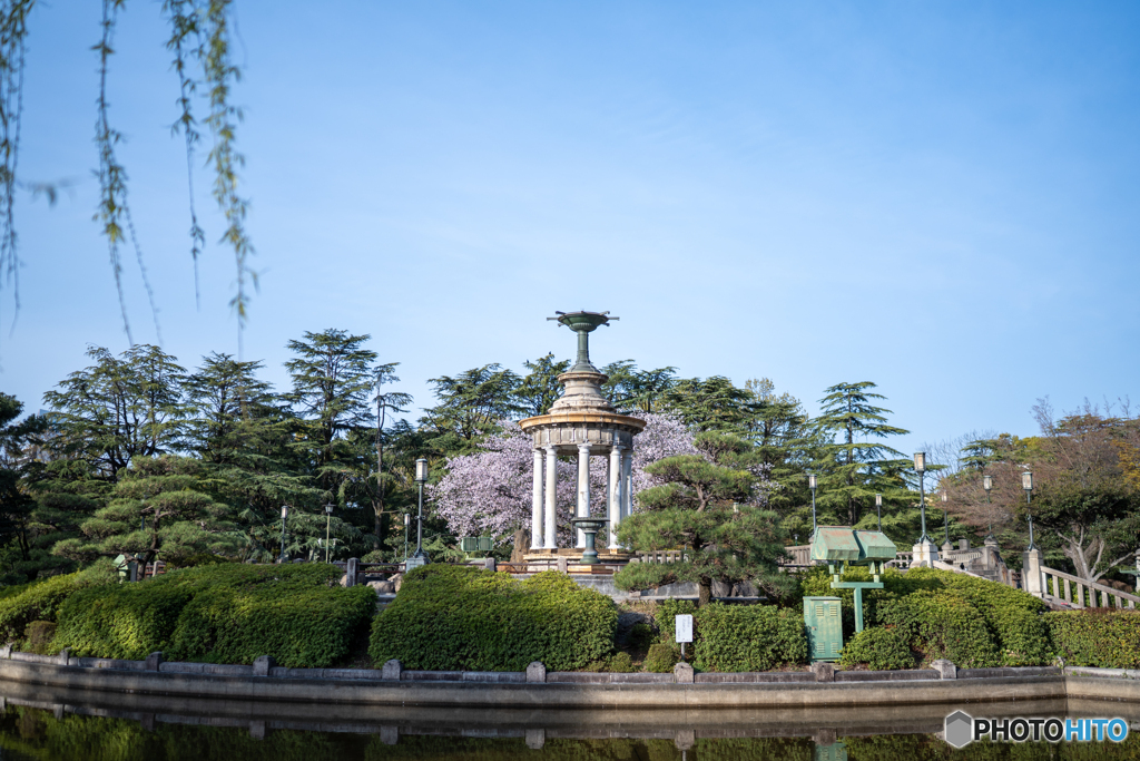 鶴舞公園（春）③