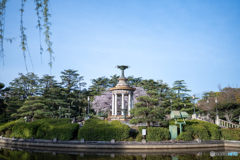 鶴舞公園（春）③