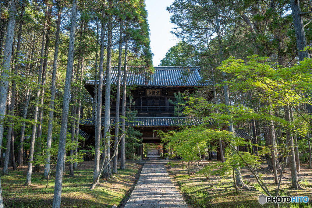 曹源寺①