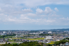 野見山展望園台①