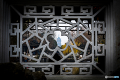 拙政園から観る北塔報恩寺