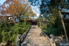 虎丘③