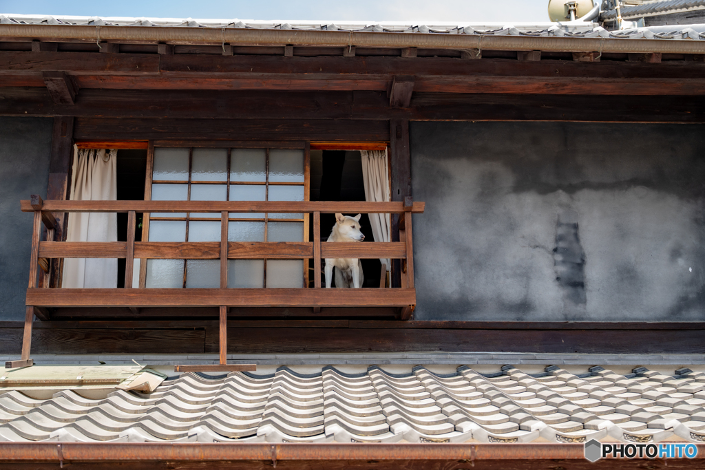 竹原市竹原地区①