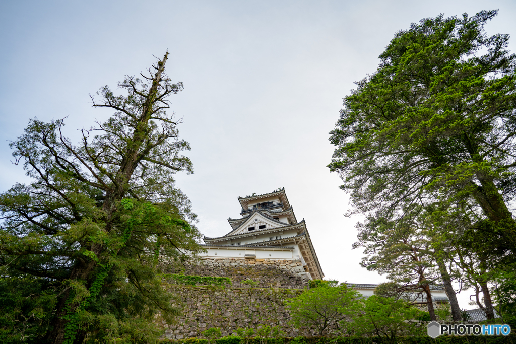 高知城天守