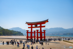 厳島神社②