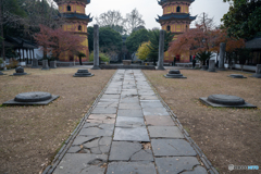 羅漢院正殿跡