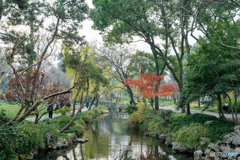 拙政園④