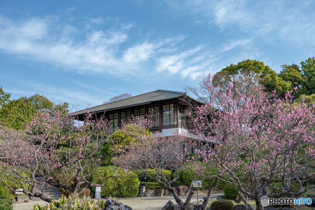 亀城公園①