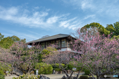 亀城公園①