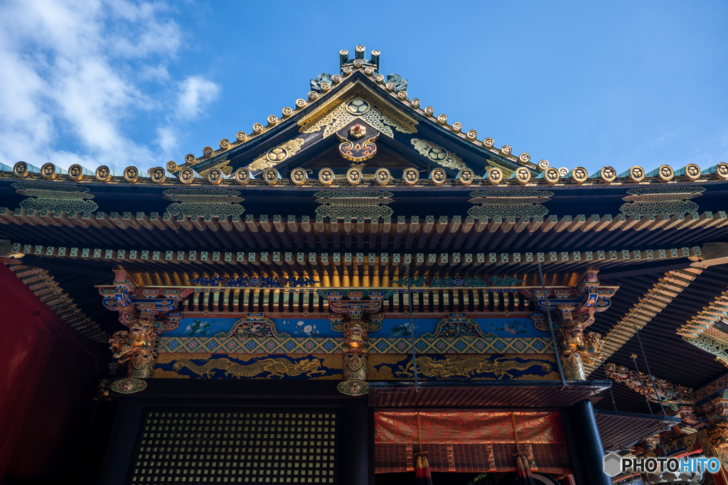 逆さ葵