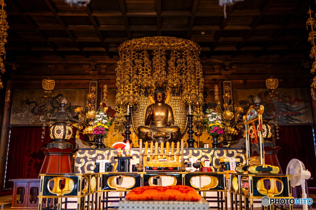 大樹寺・本堂①
