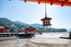厳島神社③