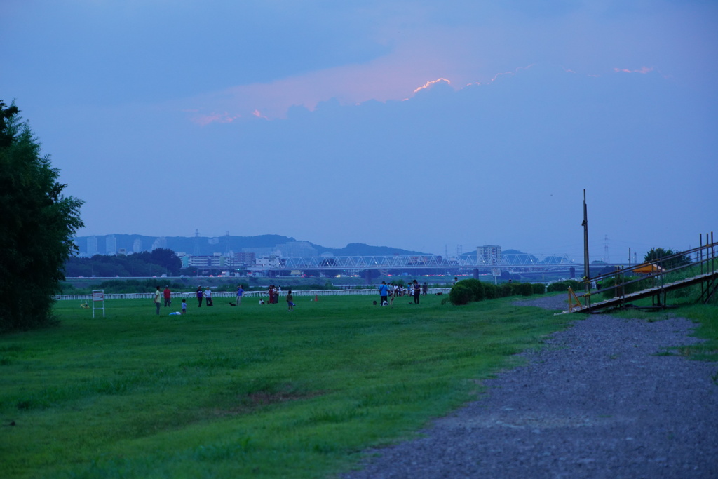 夕刻のドッグラン