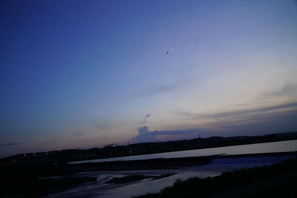 鳥と三日月