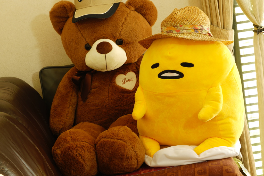 仲良し同士